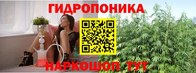 гидропоника Коммунар