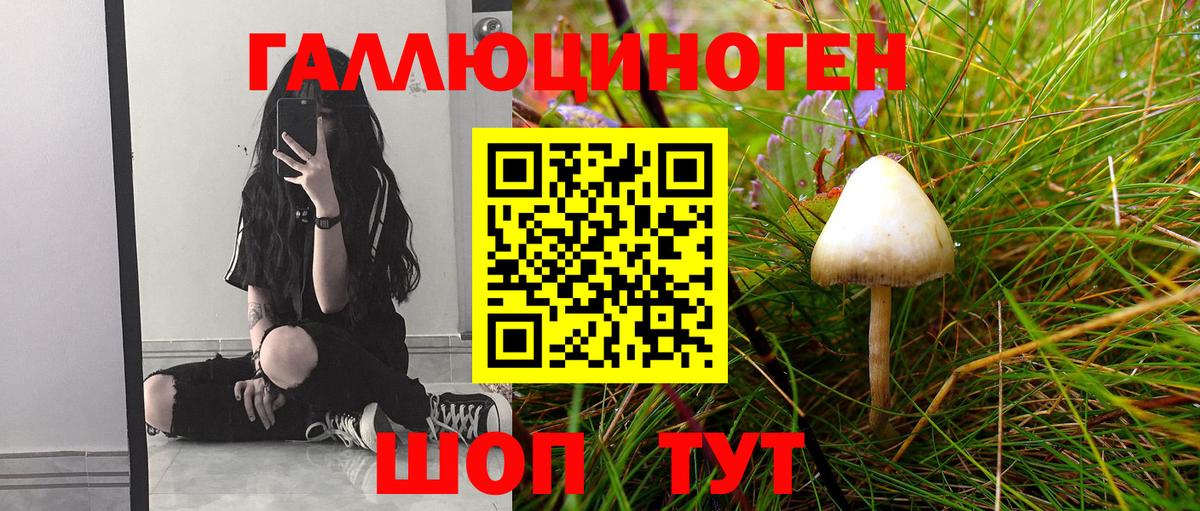 Кириши  Псилоцибиновые грибы ЛСД  Вход с VPN 