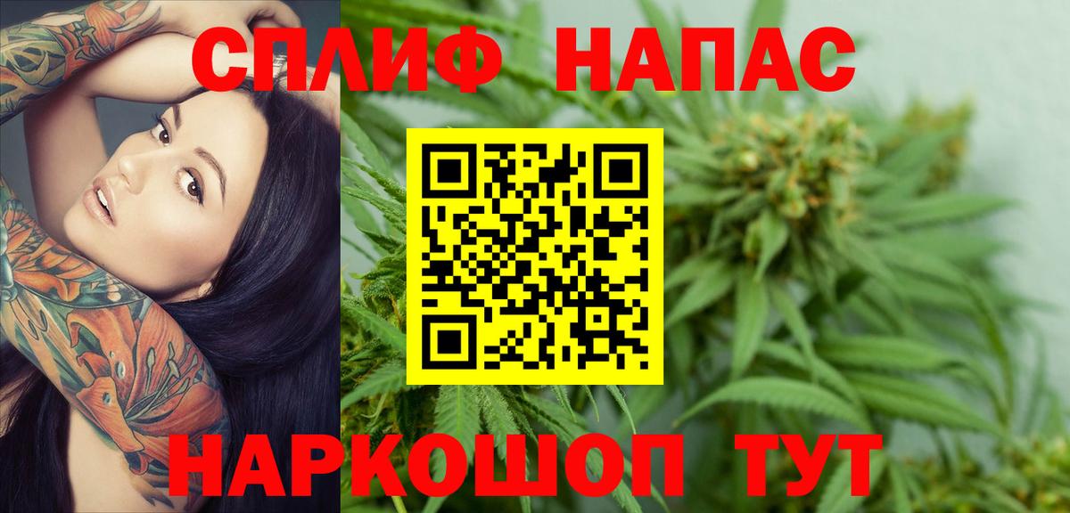 Шишки марихуана план Кириши